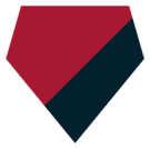 Houston Texans